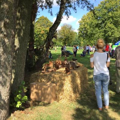 21077742 160537884523573 1330826800136863438 N