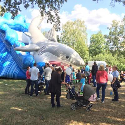 40058992 316708615573165 5288660430070218752 N