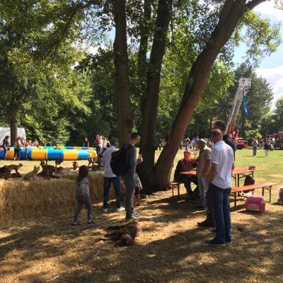 40159415 316708715573155 3528420323491840000 N