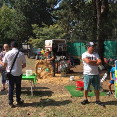 68871707 487442751833083 5710449896692121600 N