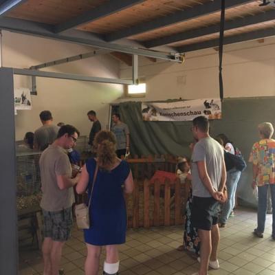 68972587 487442458499779 3489998160242147328 N