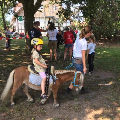 69118940 487442801833078 1856655959095508992 N