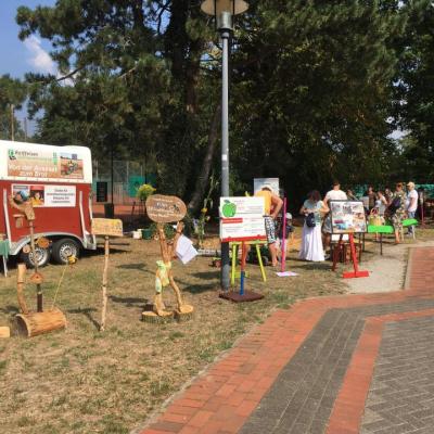 69149714 487442895166402 6838219497287974912 N